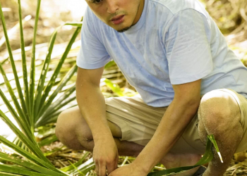 Survivor