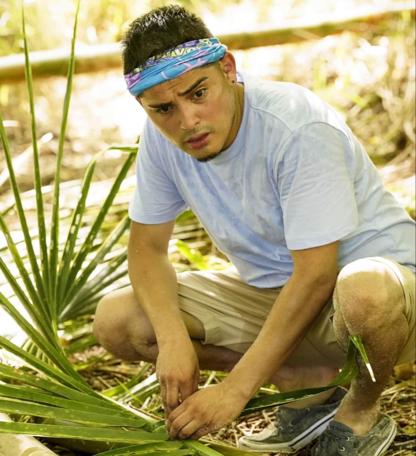 Survivor
