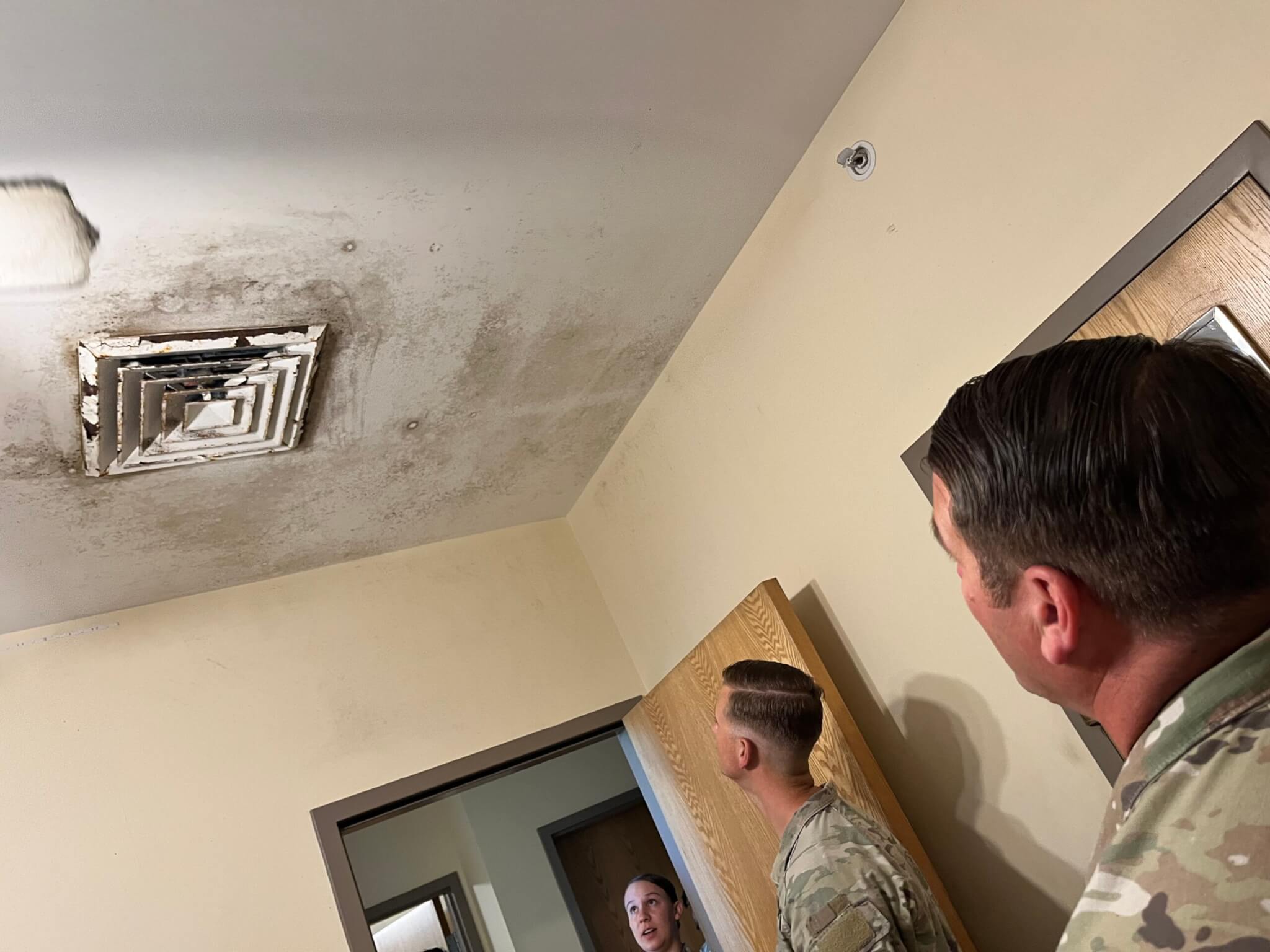 Mold