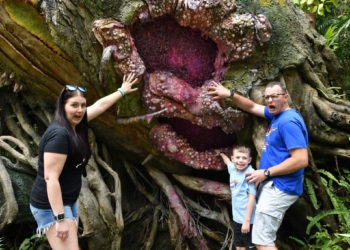 Disney World