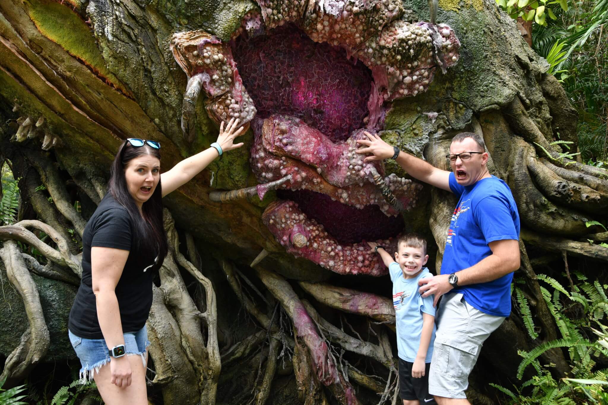 Disney World