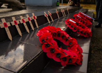 Poppies are the flower of remembrance — but why?