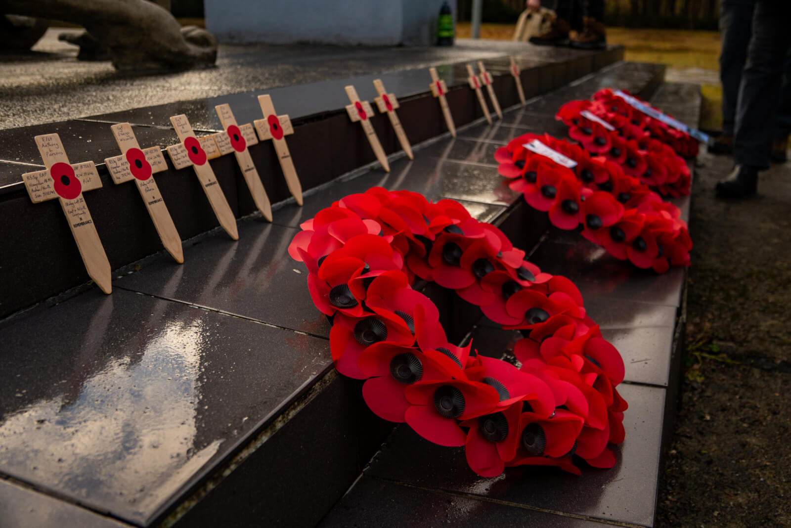 Poppies are the flower of remembrance — but why?
