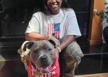 Operation Foster gives military pet owners peace of mind during deployment, training