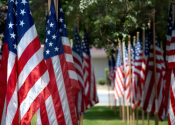 Rows of American flags for Memorial Day.